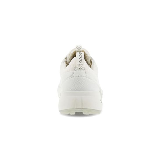 BIOM® H4 – lmtd ed.